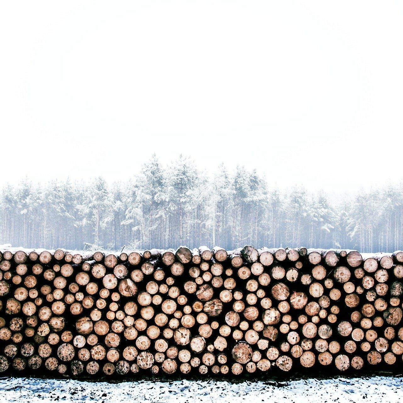 lumber-1246545_1920